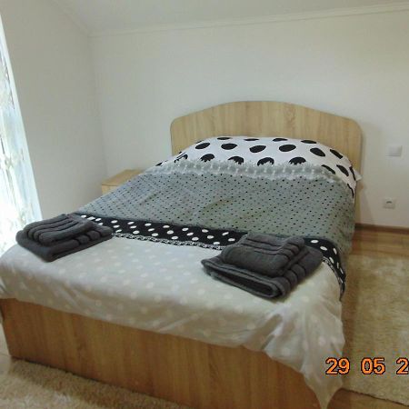 דירות בורסא Vila Floarea De Colt מראה חיצוני תמונה