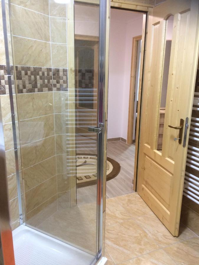 דירות בורסא Vila Floarea De Colt מראה חיצוני תמונה