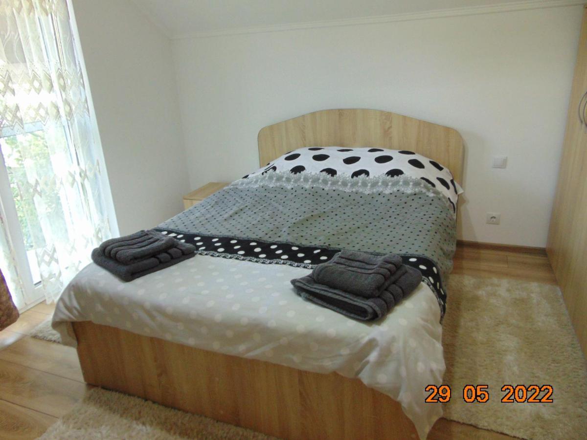 דירות בורסא Vila Floarea De Colt מראה חיצוני תמונה