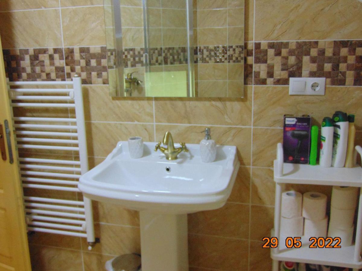 דירות בורסא Vila Floarea De Colt מראה חיצוני תמונה